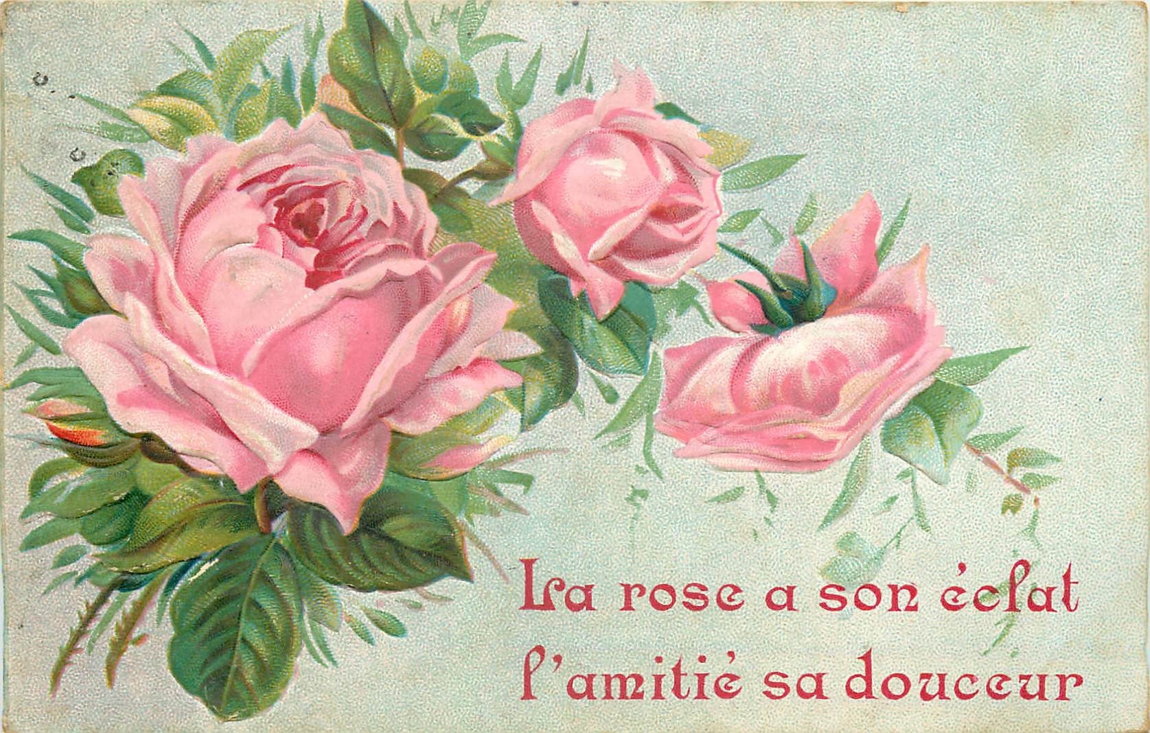 FLEURS. La Rose a son éclat, l'Amitié sa douceur 1907 carte gaufrée