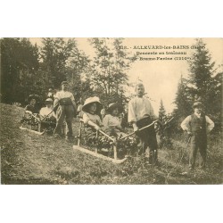 38 ALLEVARD. Descente en traîneau de Brame-Farine 1914