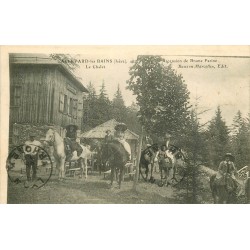 38 ALLEVARD. Ascension de Brame Farine à Cheval vers le Chalet 1913