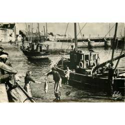 Photo Cpsm 85 LES SABLES D'OLONNE. Le Déchargement du Thon 1959