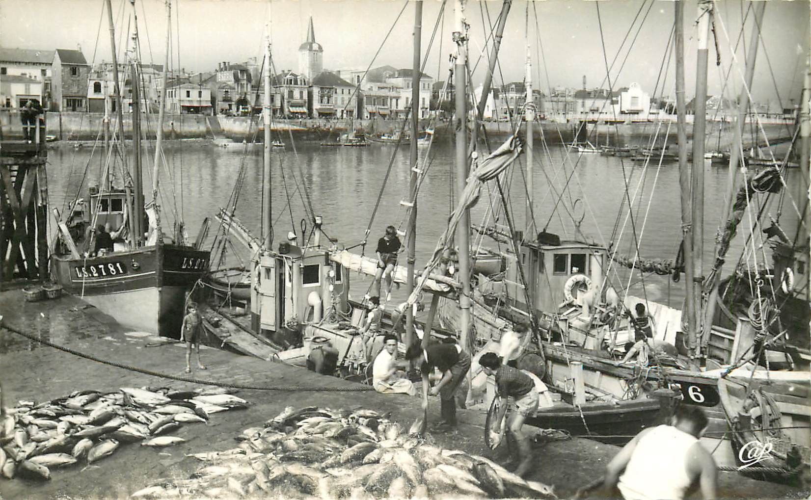 Photo Cpsm 85 LES SABLES D'OLONNE. Le Port débarquement de Thons et la Chaume 1978