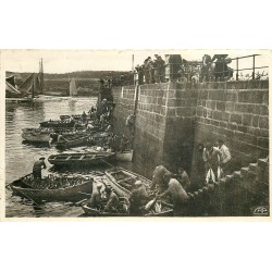 29 CONCARNEAU. Déchargement du Thon vers 1940