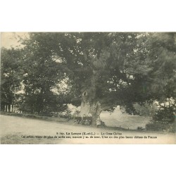 2 x Cpa 28 LA LOUPE. Le Gros Chêne et Terrasses Orangerie 1929