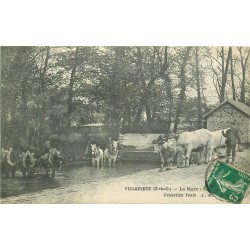 93 VILLEPINTE. Boeufs et Chevaux à la Mare