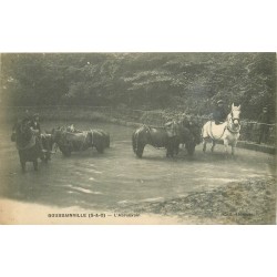 95 GOUSSAINVILLE. L'Abreuvoir avec Chevaux 1916