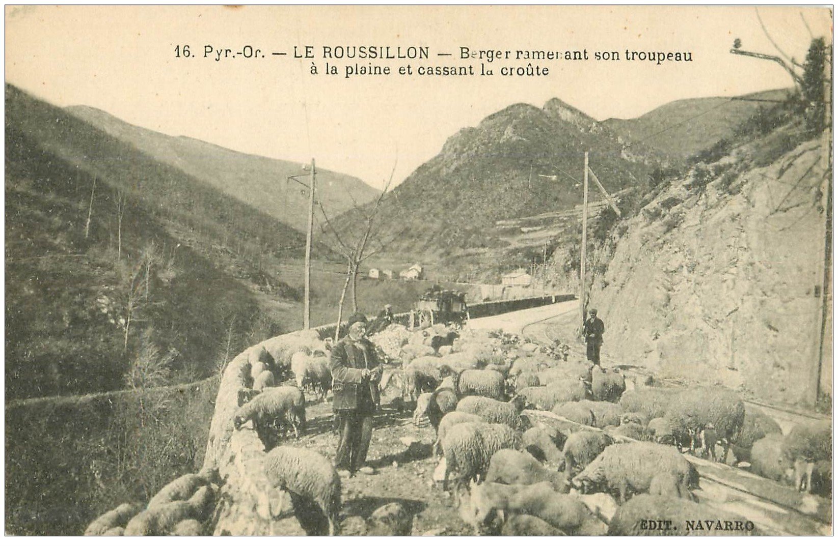 carte postale ancienne 66 LE ROUSSILLON. Berger ramenant son troupeau de Moutons et cassant la croüte