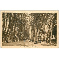 carte postale ancienne 66 PERPIGNAN. Allées des Platanes 1933