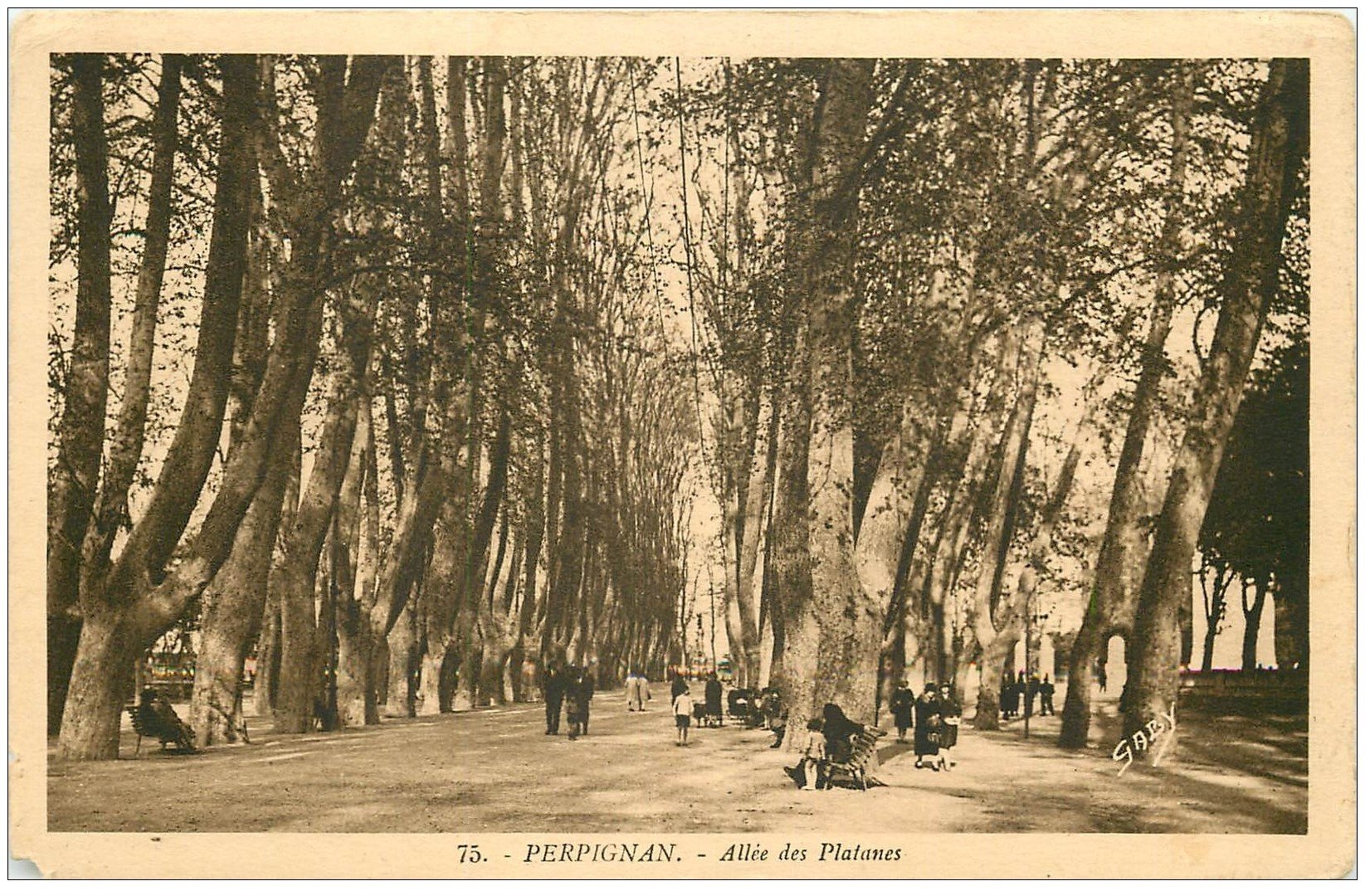carte postale ancienne 66 PERPIGNAN. Allées des Platanes 1933