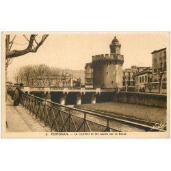 carte postale ancienne 66 PERPIGNAN. Castillet Quais sur la Basse