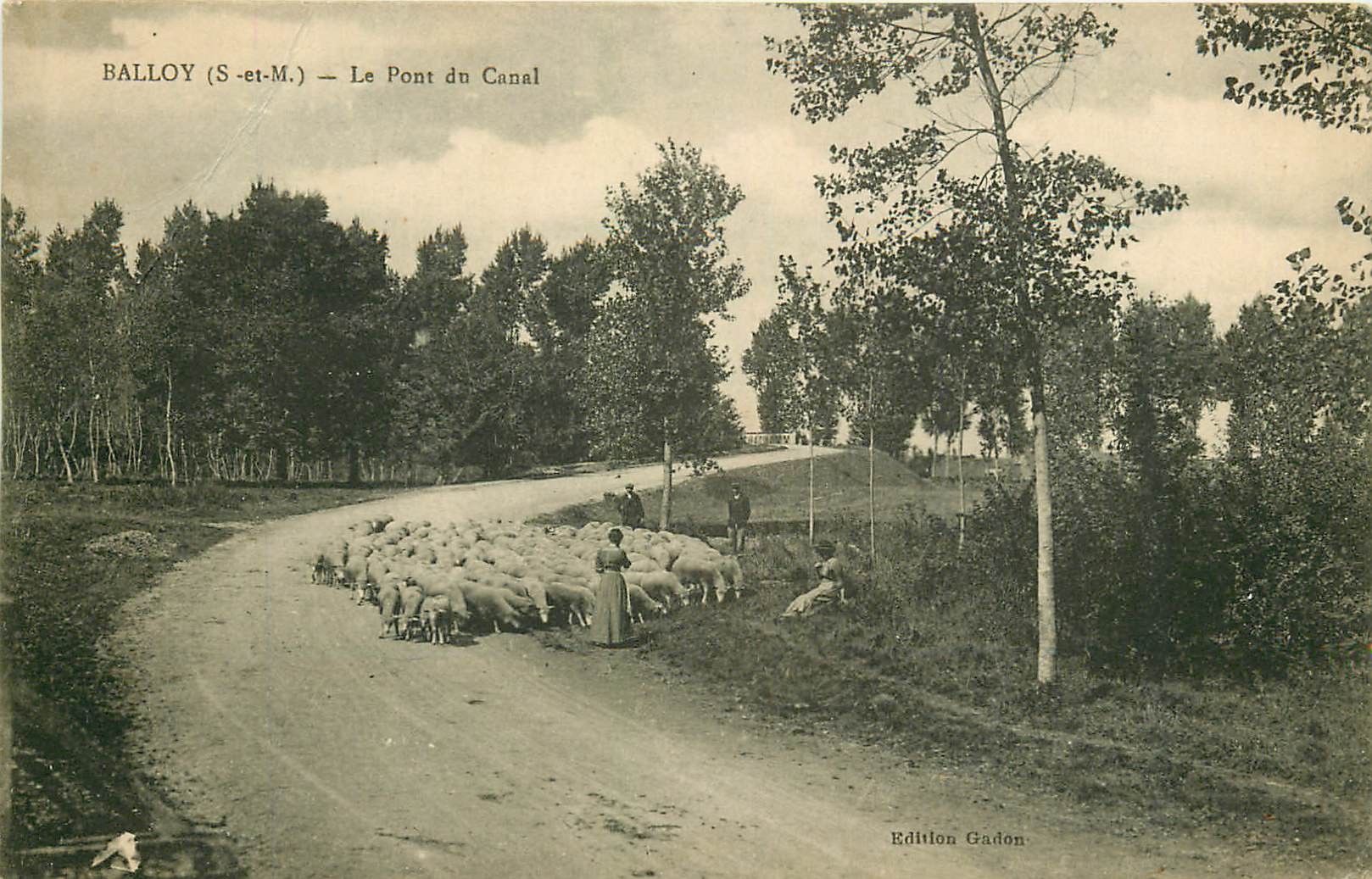 77 BALLOY. Troupeau de Moutons sur le Pont du Canal