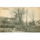 88 HADOL. Attelage de Boeufs sur la Route de Géroménil à Arches 1917