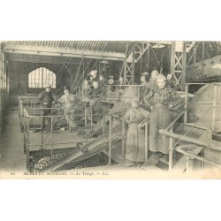 Métiers MINES ET MINEURS. Le Triage du charbon par les femmes 1904