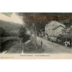 88 FONTENOY-LE-CHATEAU. Avenue de Montmotier 1906