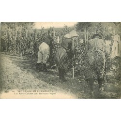 51 VENDANGES EN CHAMPAGNE. Les Robes Culottes dans les hautes Vignes 1917