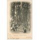 carte postale ancienne 66 PERPIGNAN. Promenade des Platanes 1903