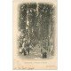 carte postale ancienne 66 PERPIGNAN. Promenade des Platanes 1903