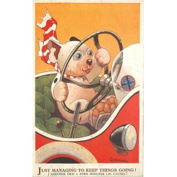 Illustrateur. Just managing to keep things going !
