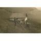 SUISSE. Des Senner's Abendlied le Cor des Alpes avec vaches 1920