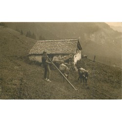 SUISSE. Des Senner's Abendlied le Cor des Alpes avec vaches 1920