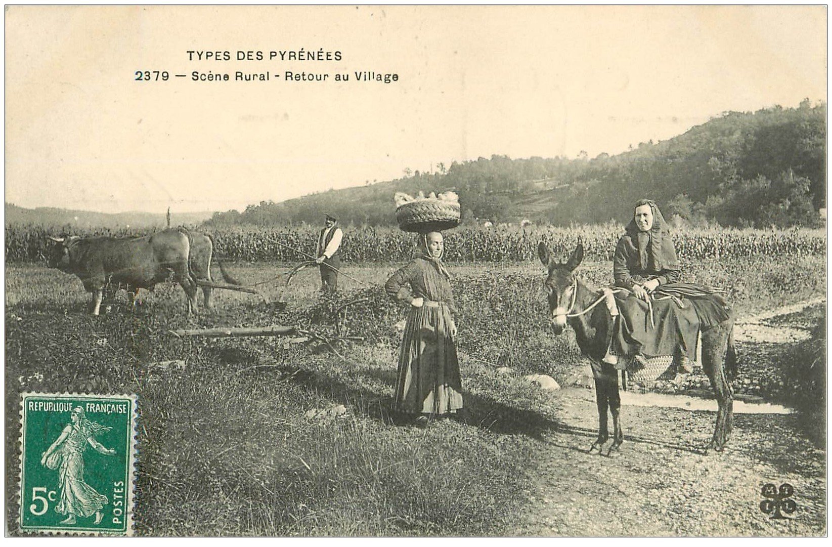 Attelages - ¤¤ - AGRICULTURE - Carte-Photo d'un Attelage de Boeufs - Labourage