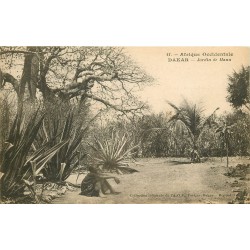 DAKAR. Jardin de Hann 1930 en Afrique