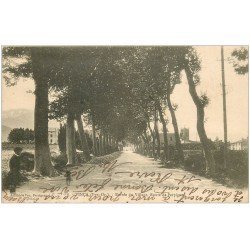 carte postale ancienne 66 VINCA. Entrée du Village route de Perpignan 1923