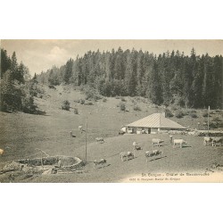 SAINT CERGUE. Châlet de Basserruche 1919