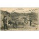 carte postale ancienne 63 AUVERGNE. Un attelage du Pays avec Boeufs