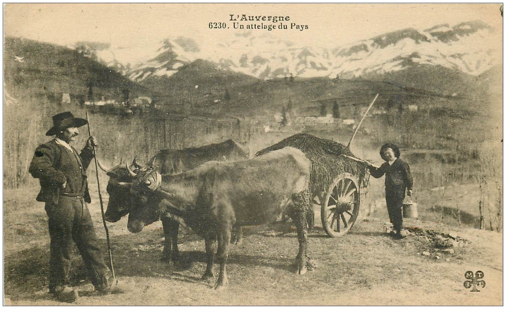 carte postale ancienne 63 AUVERGNE. Un attelage du Pays avec Boeufs