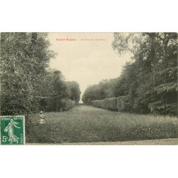 76 SAINT-SAËNS. Avenue du Quesnay avec fillette ramassant des Fleurs 1909