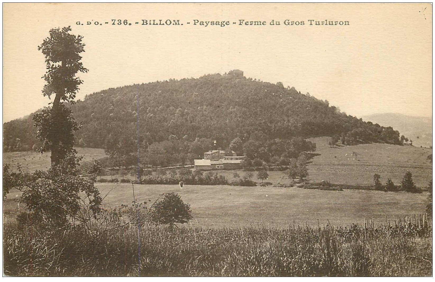 Turluron 63 BILLOM. Ferme du Gros Turluron