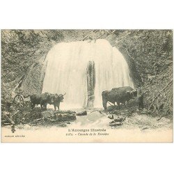 carte postale ancienne 63 CASCADE DE LA VERNIERE. Boeufs se désaltérants avec Paysan