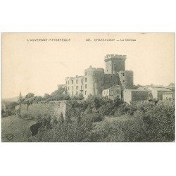 carte postale ancienne 63 CHATEAUGAY. Le Château