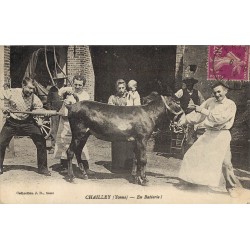 89 CHAILLEY. En Batterie 1937 carte humouristique avec âne et vétérinaire