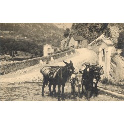 20 CORTE environs. Jeune Laitier avec ses ânes et mules pour transport de lait