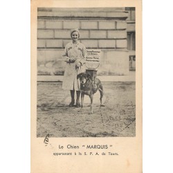 37 TOURS. Le Chien " MARQUIS " de la S.P.A : pancarte achetez notre carte postale 1936