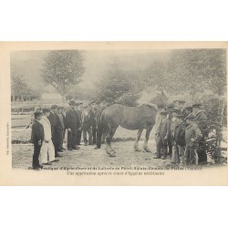 85 PETRE-SAINTE-GEMME-LA-PLAINE. Ecole pratique Agriculture Laiterie hygiène vétérinaire