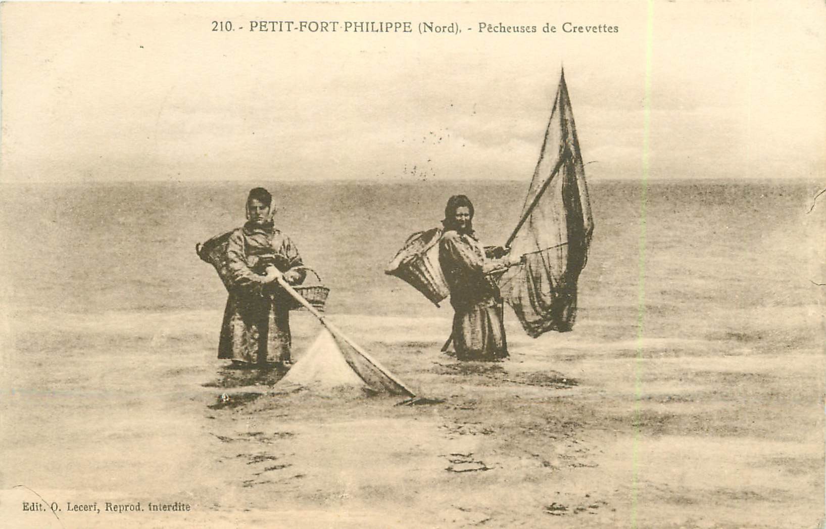 59 PETIT-FORT-PHILIPPE. Pêcheuses de Crevettes
