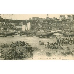 35 CANCALE. Triage des Huïtres 1912