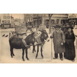 12 SAINT-GENIEZ. Deux heureux couples, Paysans et attelage ânes 1925