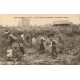 77 GRISY-SUISNES. Culture spéciale des Rosiers et Cueillette de Roses par Brisson 1923