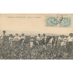 LES VENDANGES. En Beaujolais groupe de Vendangeurs 1905
