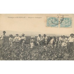 LES VENDANGES. En Beaujolais groupe de Vendangeurs 1905