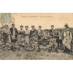 LES VENDANGES. En Maconnais, groupe de Vendangeurs 1905