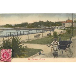 Afrique du Sud DURBAN 1907 Bay Esplanade