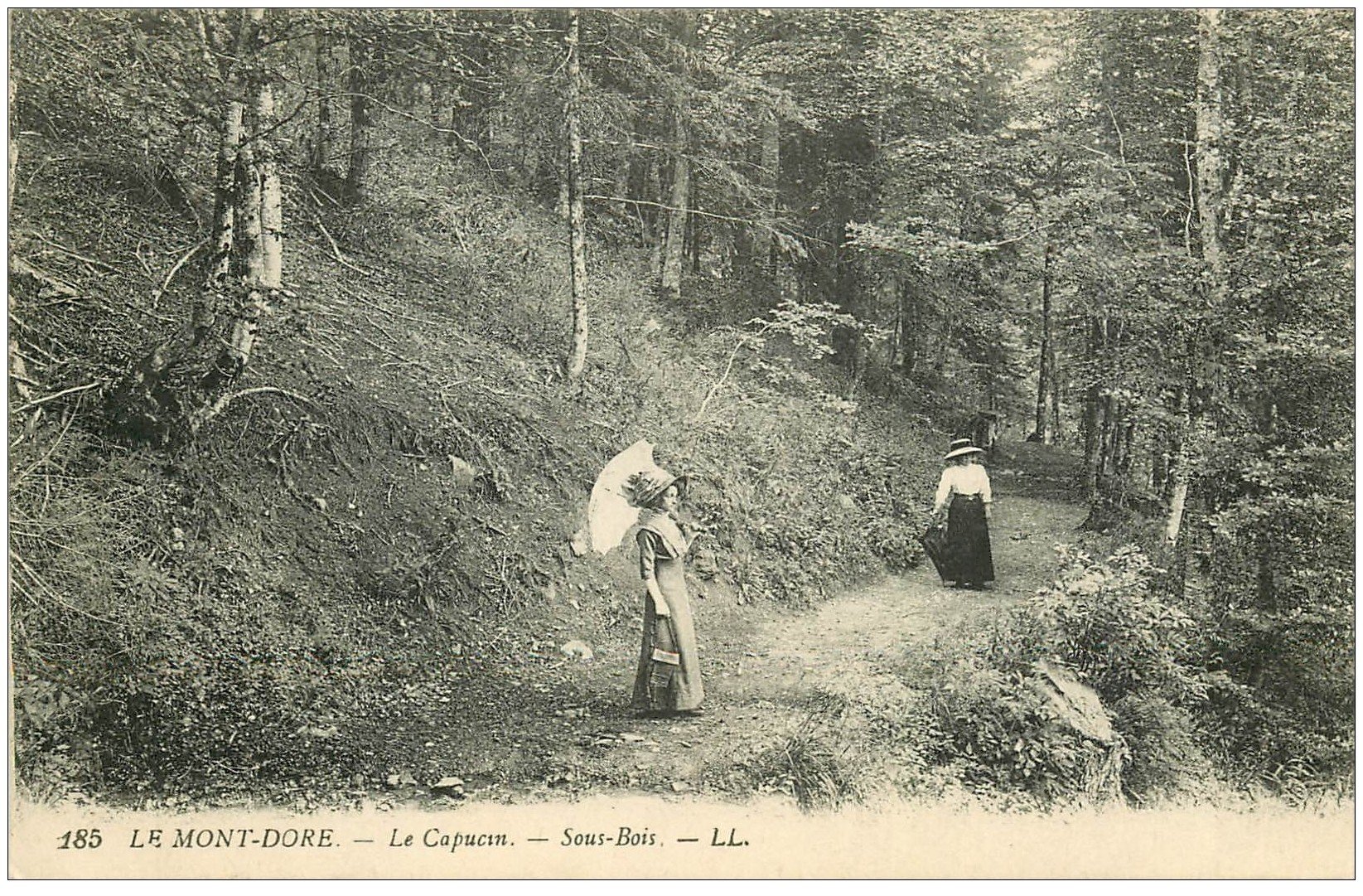 carte postale ancienne 63 LE MONT DORE. Le Capucin Sous-Bois 1920