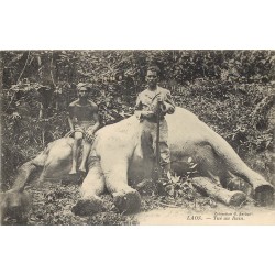LAOS. Chasse Eléphant tué au Bain