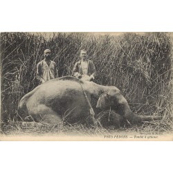 Cambodge PAYS PENONS. Chasse Eléphant tombé à genoux