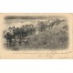 ALGERIE. Caravane du Caid-Ben-Ganah 1903