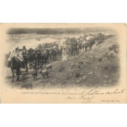 ALGERIE. Caravane du Caid-Ben-Ganah 1903